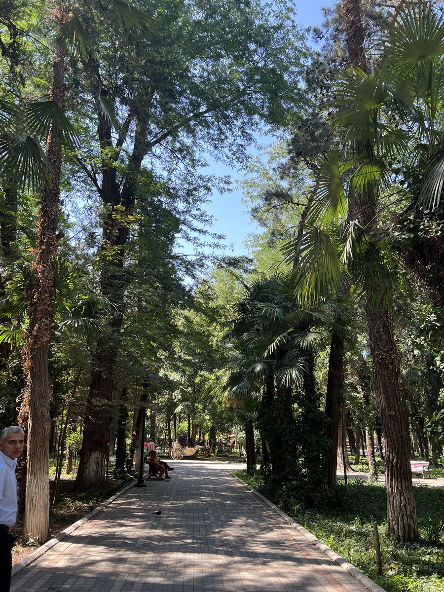 Our <a href="/_Hiroyuki_Ito_/">Hiroyuki Ito</a>  and <a href="/LinOG1962/">Lin</a> in #Ganja taking the city to the proven path to green infrastructure development via comprehensive strategy combining investment &amp; policy.  Beautiful #Ganja will soon be a model example for other small cities in Caucasus. <a href="/EBRDgreen/">EBRD Green</a>