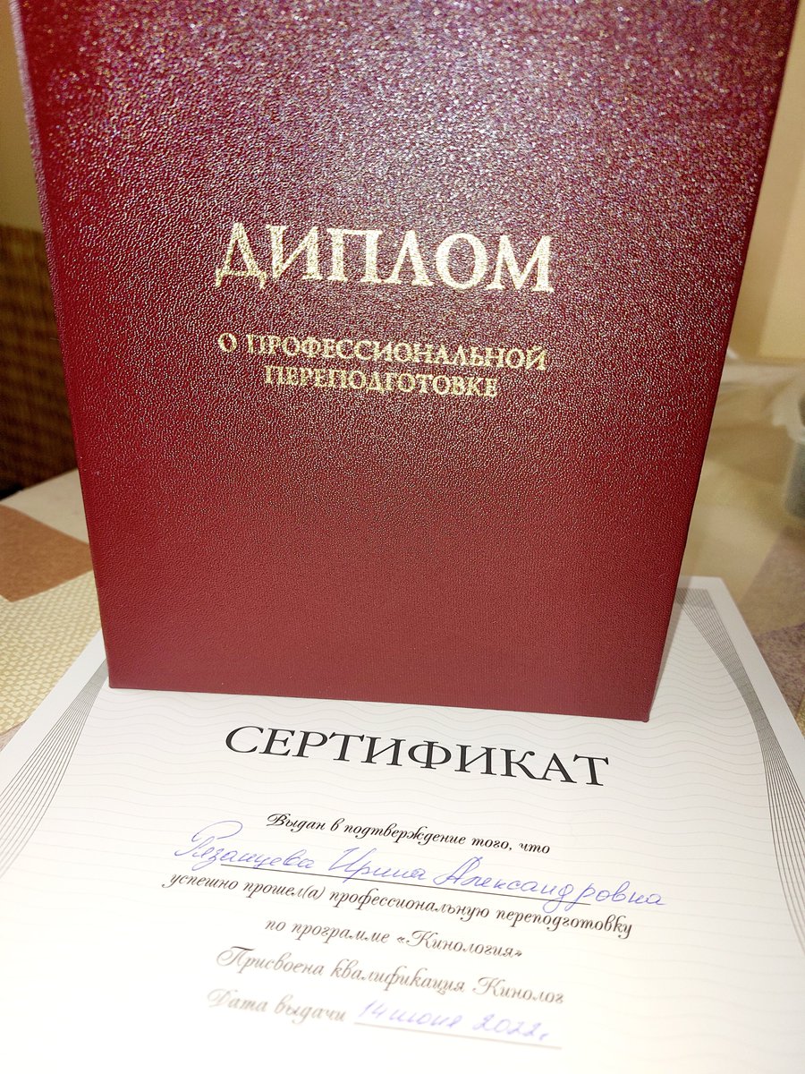 Руна (Ирина) tweet media