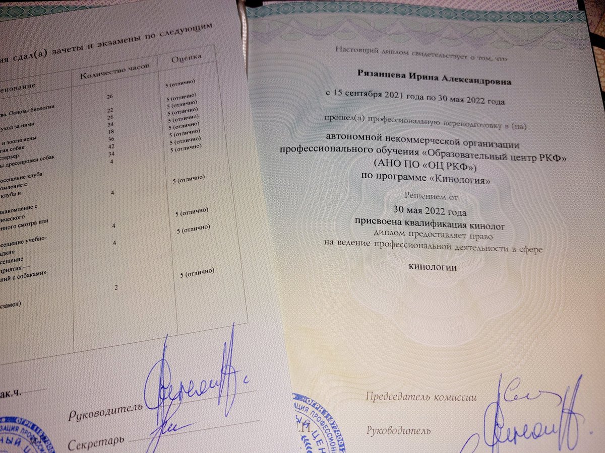 Руна (Ирина) tweet media