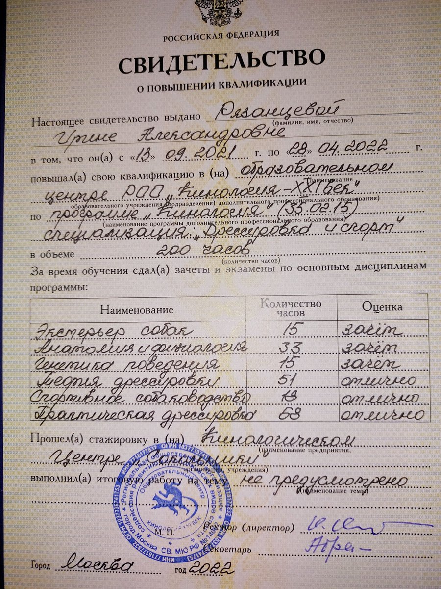 Руна (Ирина) tweet media