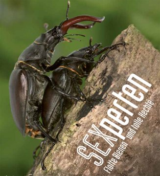 Der Schweiz-Experte (@stmediach) on Twitter photo Oh la la! "SEXperten - Flotte Bienen und tolle Hechte"!
Eine spannende Sonderschau!
Im #NaturmuseumSolothurn dreht sich fast alles um den Motor der Evolution & Ursprung der hohen Artenvielfalt – den Sex!
Bis 23.10.22
<a href="/VisitSolothurn/">Solothurn Tourismus</a>
bit.ly/3NLKF1Z Oh la la! "SEXperten - Flotte Bienen und tolle Hechte"!
Eine spannende Sonderschau!
Im #NaturmuseumSolothurn dreht sich fast alles um den Motor der Evolution & Ursprung der hohen Artenvielfalt – den Sex!
Bis 23.10.22
<a href="/VisitSolothurn/">Solothurn Tourismus</a>
bit.ly/3NLKF1Z