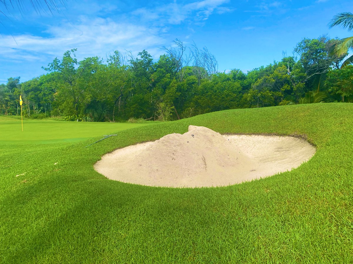 Matt DiMase tweet media