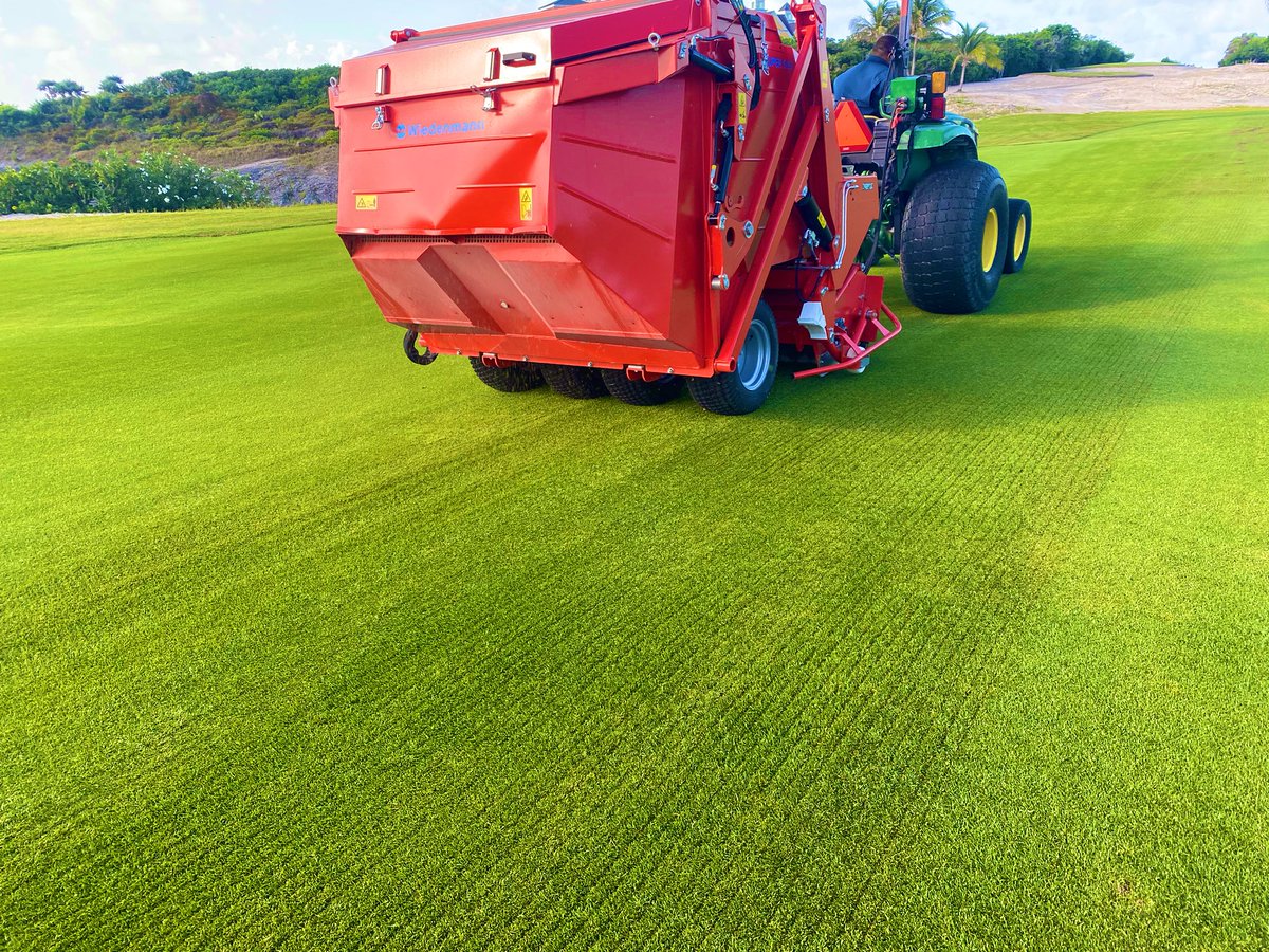 Matt DiMase tweet media