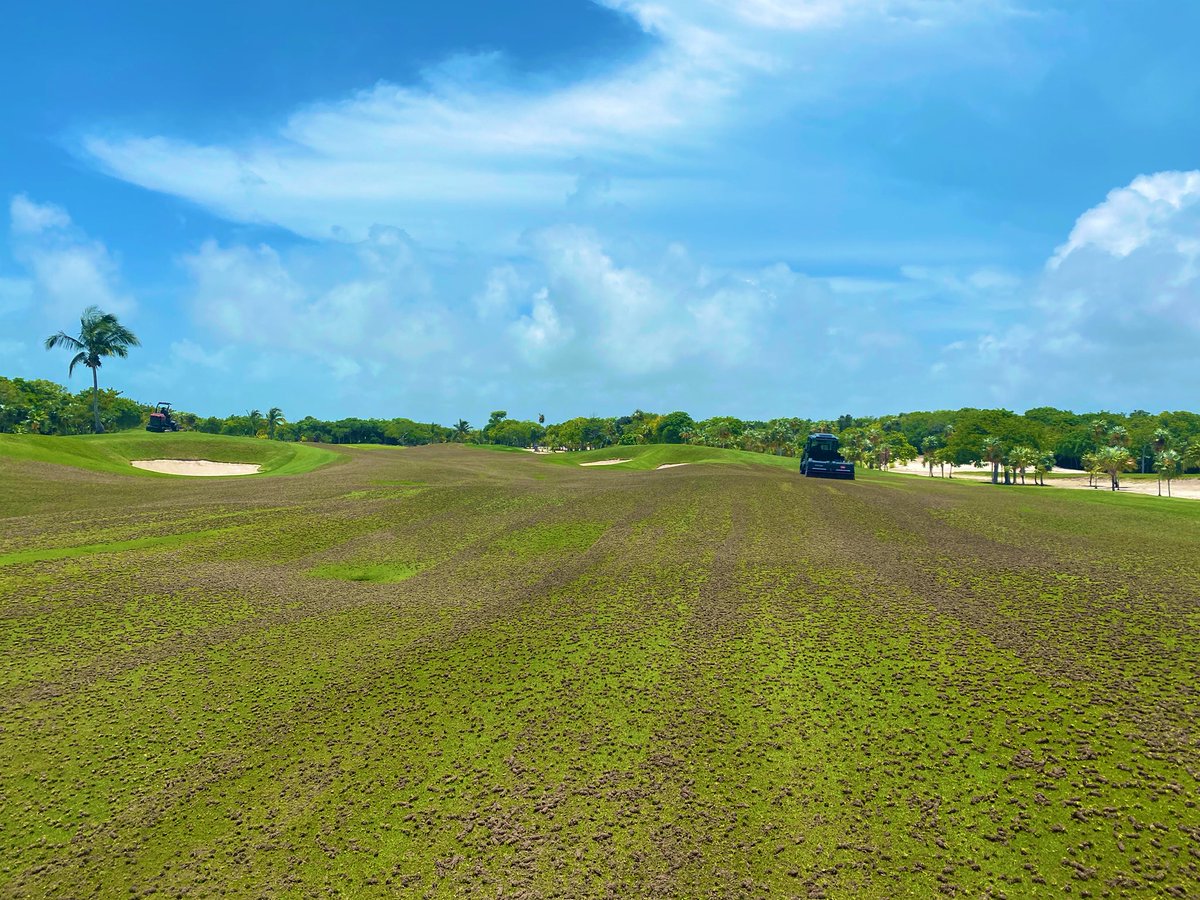 Matt DiMase tweet media