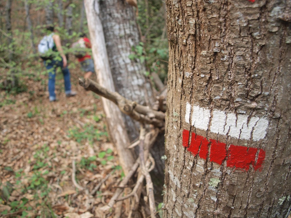 [#FemCampaments 🏕] Què hem de fer en cas de risc d'#incendi forestal? 

⚠️ Davant la situació especial de risc d'incendi que es preveu durant aquest estiu, consultem les guies d'actuació i el seu impacte en els nostres campaments. 👇

🔗projectes.escoltesiguies.cat/fem-campaments…