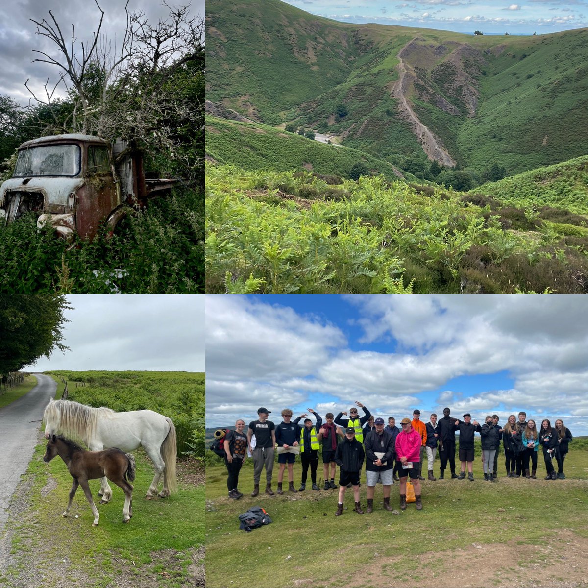 Josephine Sams tweet media