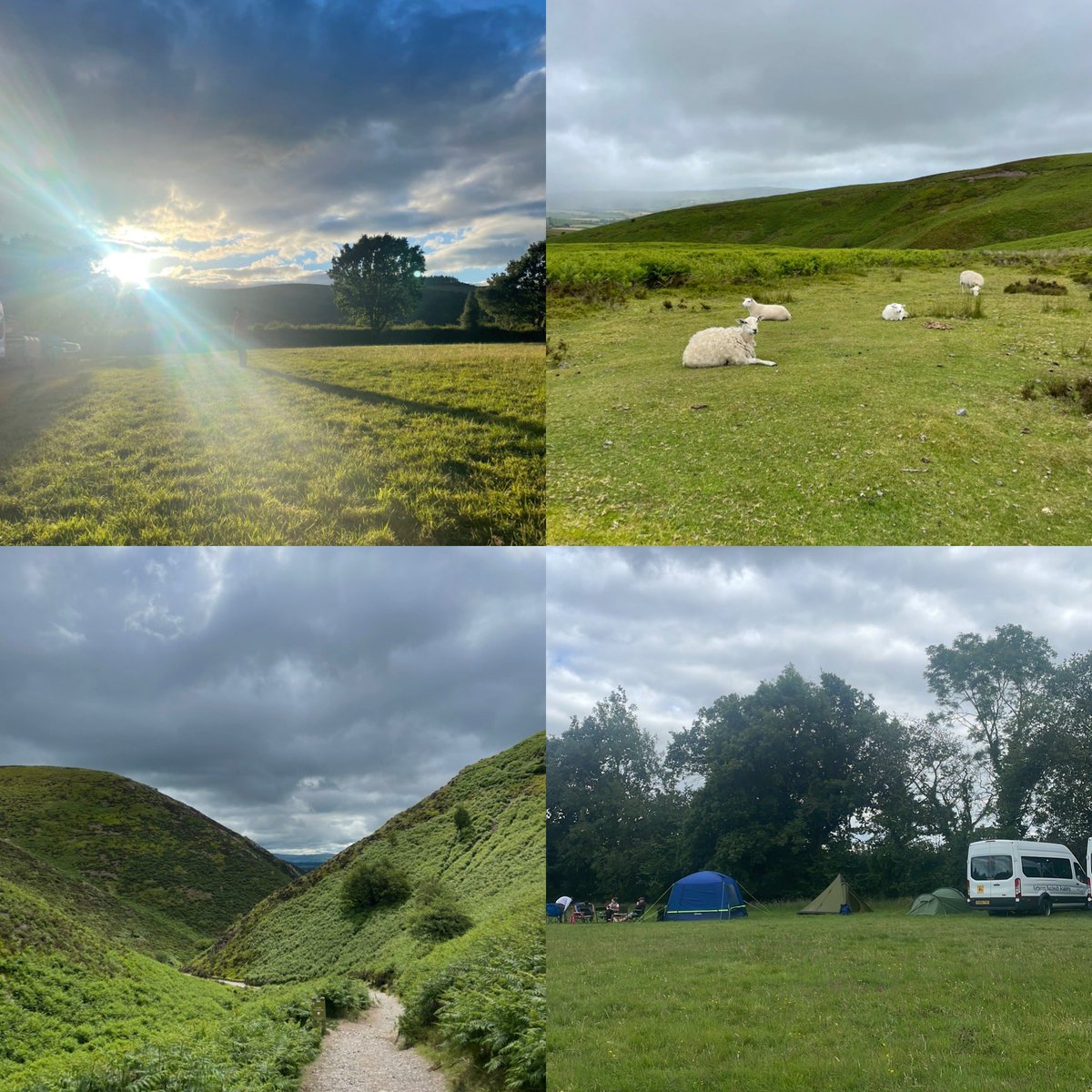 Josephine Sams tweet media