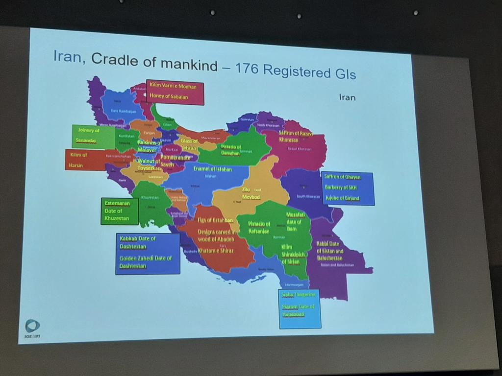 Anke Moerland tweet media