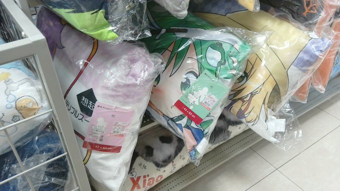 こないだしまむらさんに行ったら
東方の枕とか五等分の人の抱き枕とか色々あって
今の子は英才教育を受けられていいなあと思いました☺️💗 