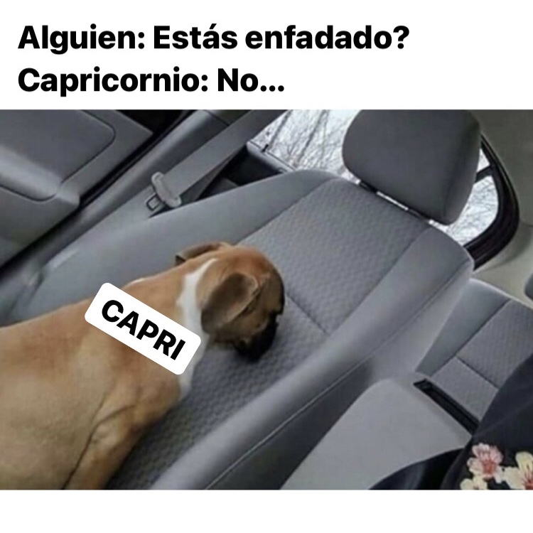 Somos de pocas palabras... 😂

#capricornio #horoscoponegro