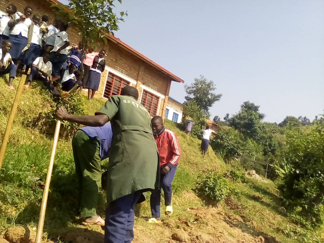 Just In: Another milestone in Groupe Scolaire Cyumba in @nyabihu where students today harvested 33 Kgs of #Carrots from their school garden under the @GER_Global & @36Tesf project funded by @BristolUni & @TransformingESF to improve school gardening for better nutrition @jhaganza