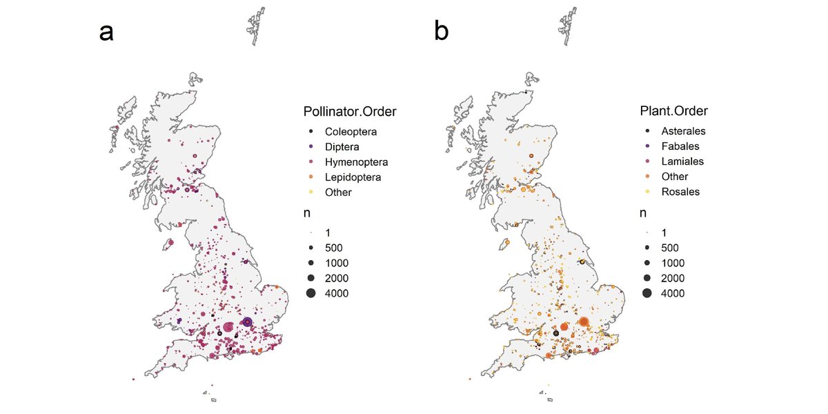 A new Data Paper in <a href="/ESAEcology/">Ecology</a>:

DoPI: The Database of Pollinator Interactions

doi.org/10.1002/ecy.38…

<a href="/The_DoPI/">Database of Pollinator Interactions</a> <a href="/DaveGoulson/">Dave Goulson</a> <a href="/CalaCastellanos/">Maria Clara Castellanos</a> @profAndyP <a href="/britishbee/">BBKA</a> <a href="/EvaCraneTrust/">Eva Crane Trust</a>

#Bees
#Pollinators
#Habitats
#Plants
#OpenScience