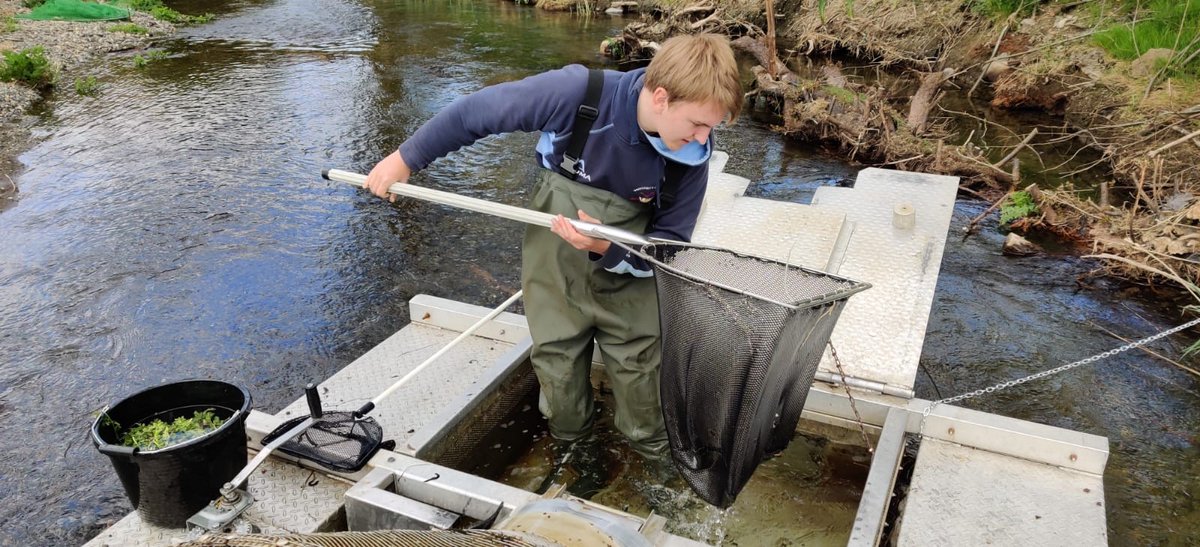 Funding opportunities for MRes students @IBAHCM  to live and study here at SCENE. Closing date 29 July 2022. Further information: gla.ac.uk/postgraduate/t…