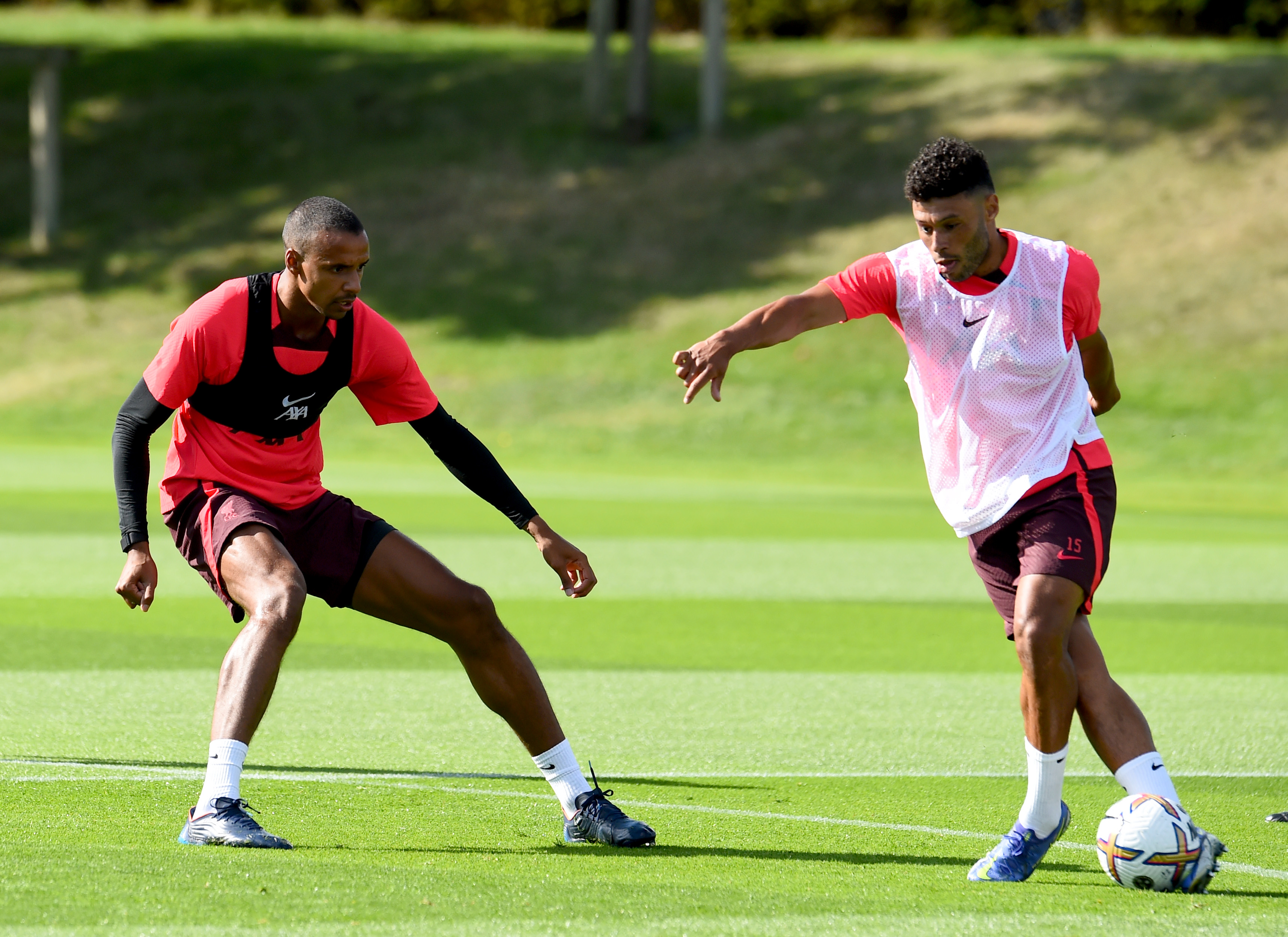 赤い彗星 Ynwa 0128azuki Twitter