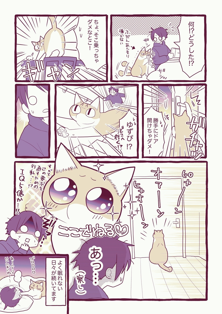 猫漫画①

ゆずぴ編 (1/1) 