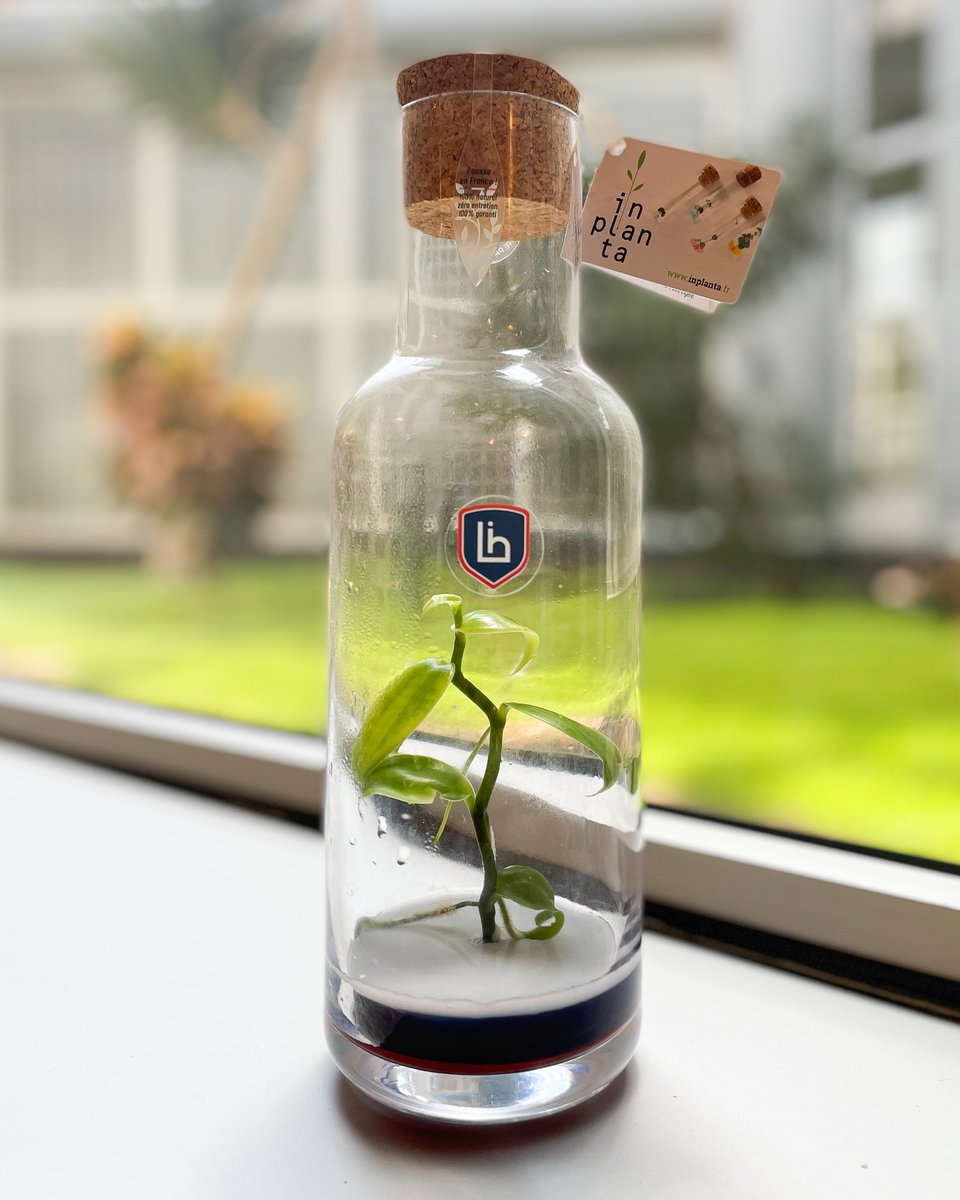 InPlantaNature's tweet photo. Pour cette occasion, InPlanta a réalisé des étiquettes spécifiques avec le logo du LH. Un Plantaphore® Vanille a été conçu avec un gel aux couleurs de l'équipe. Merci pour votre confiance ! 😉
N'hésitez pas à nous contacter pour des projets "sur mesure" ! 🌱 https://t.co/AKfBoWtaxe