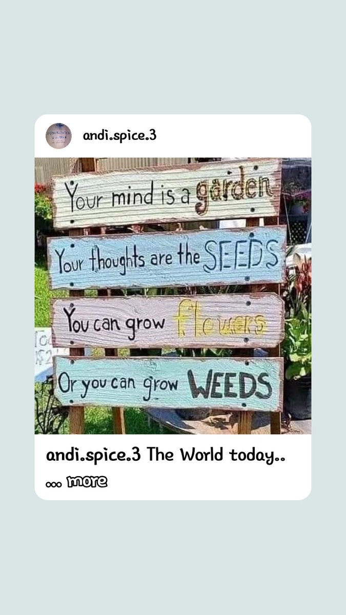 YouthatHeartEC's tweet image. Can you follow ONE COMMAND?

Man-kind's disobedience floods life with impossible choices.  Seek first the kingdom of God and His Righteousness..

Titus 2:12.. Life's mission for All Man-kind.

#ARTofLivingYAHEC 
#MBSSyahec
#AlternativeReality 
#MeMyManMyLord