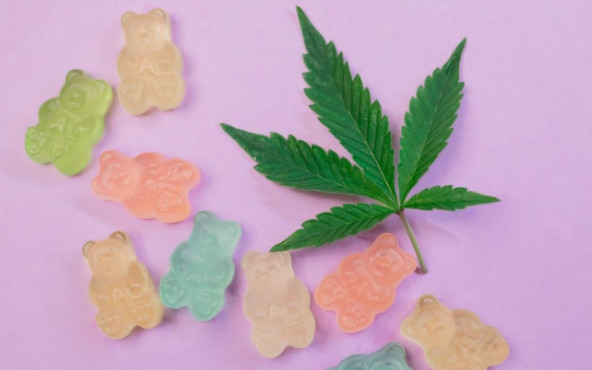 ¿Qué buscan los grandes inversionistas de la industria del cannabis en México?, la respuesta nos la da Lorena Beltrán, Fundadora y CEO de CannabiSalud.

lideresmexicanos.com/noticias/que-b…