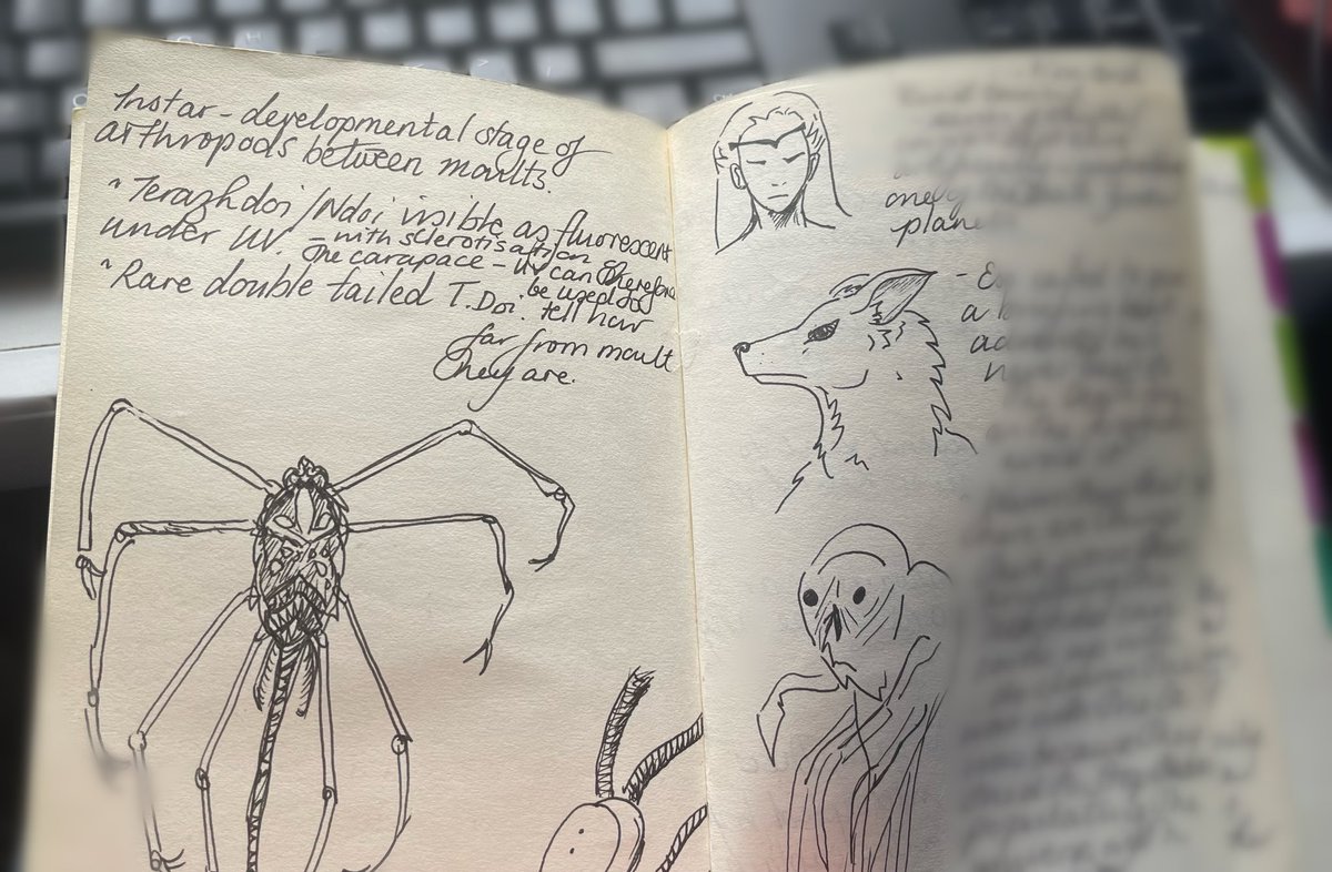 MochaQuokka's tweet image. Finding old story notebooks is fascinating, especially where this one developed over about 15 years into the story I’m thinking of finally finishing now, my space opera. This is why I prefer handwriting notes. #WritingCommunity #writing #storynotes #notebook #sketches