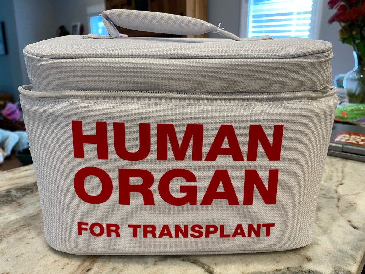 LizerReal's tweet image. the perfect lunchbox d̶o̶e̶s̶n̶&apos;̶t̶ ̶e̶x̶i̶s̶t̶