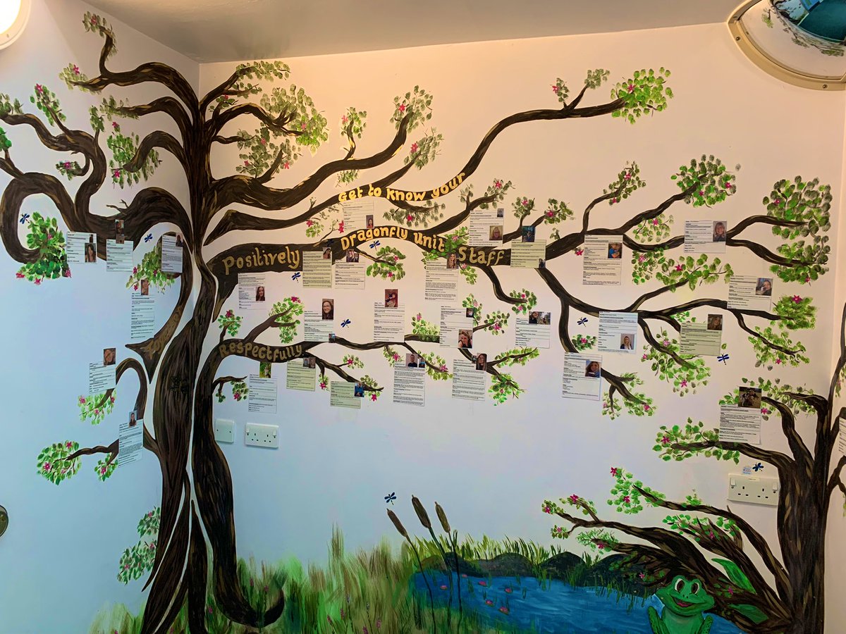 DragonflyUnit's tweet photo. Some beautiful artwork and improvements to our ward helped by the young people and staff. Watch this space for further developments. #CAMHS @NSFTtweets https://t.co/637soqpUJm