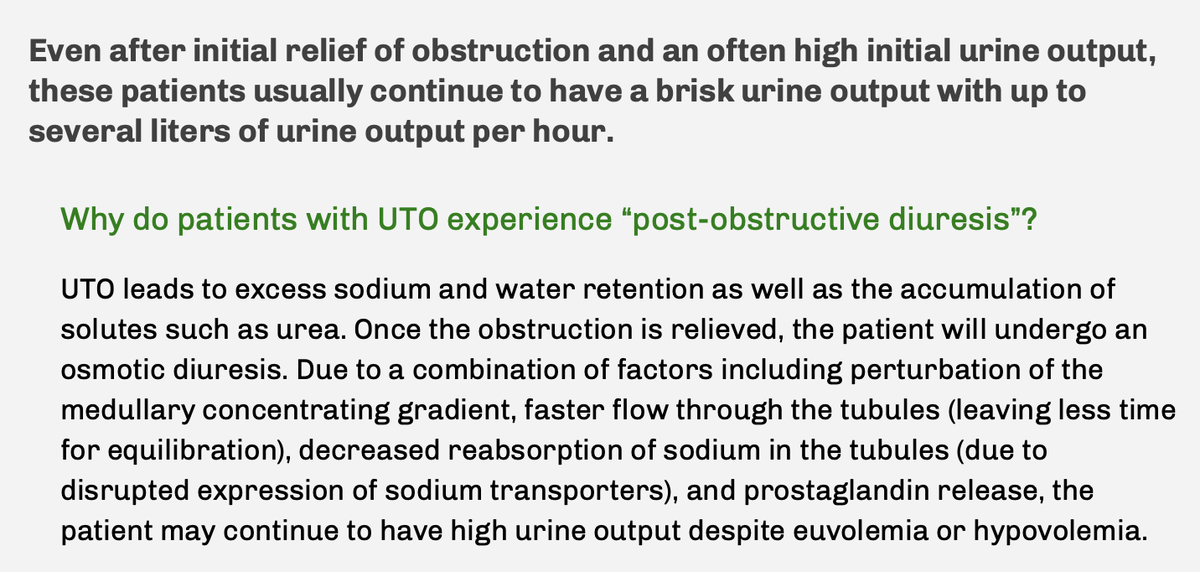 Case 3: 79 y/o M w/ DM, CKD,  now w/ #AKI 

nephsim.com/case-3-introdu…

Why pts may experience "post-obstructive diuresis":

-💦🧂 retention, accumulation of solutes (eg urea)
-❌ medullary gradient
-⏩ tubular flow, ⬇️🧂reabsorption
-PG release

#FOAMed #POCUS #Nephrology
