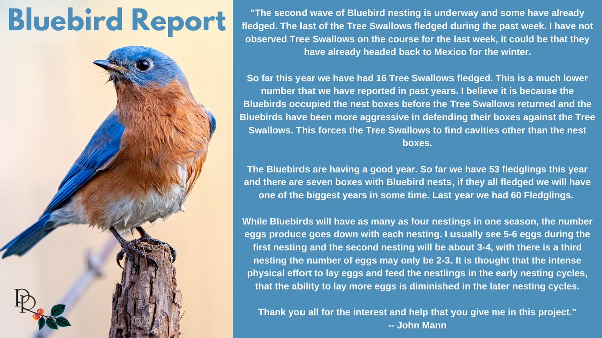 PersimmonGC's tweet photo. An updated report on our Bluebird population. Special thanks to John Mann and all of his hard work while documenting the Bluebird and other bird populations here at Persimmon Ridge! https://t.co/PTgWVZ9iPx