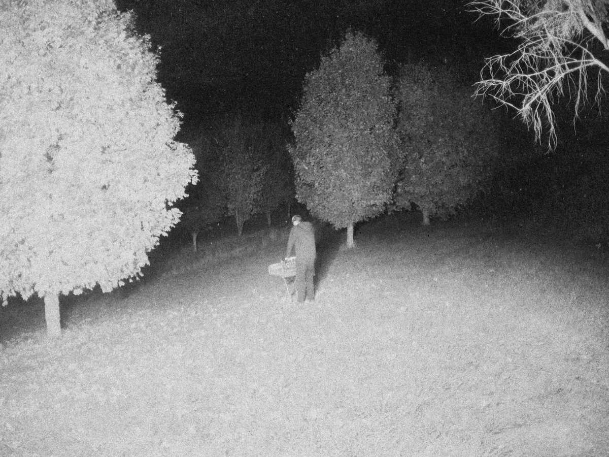 josiahfarrow's tweet photo. strange encounters https://t.co/p6CxWPNjH6