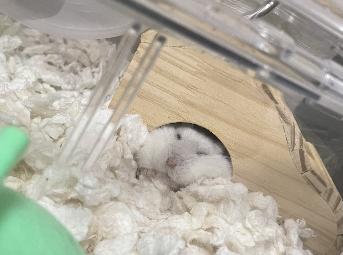 ﾑﾆｭ…