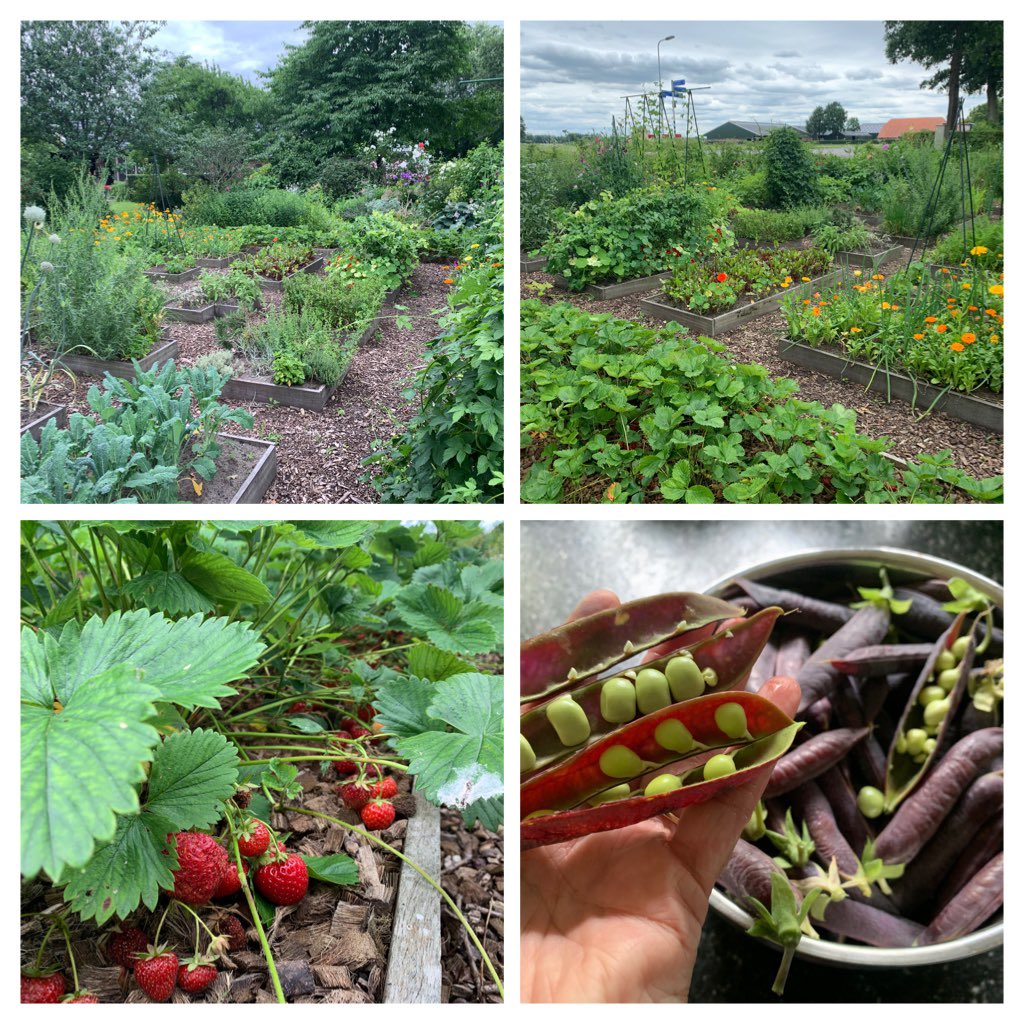 Een ecologisch gezonde tuin met balans tussen inheemse bloemen en groente heeft geen kunstmest en bestrijdingsmiddelen nodig en is een paradijs voor vogels, insecten en andere dieren.