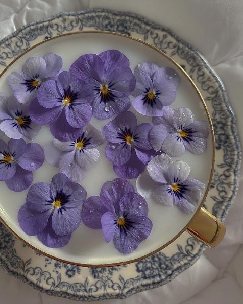 بنفسج (@lilacearth) on Twitter photo 