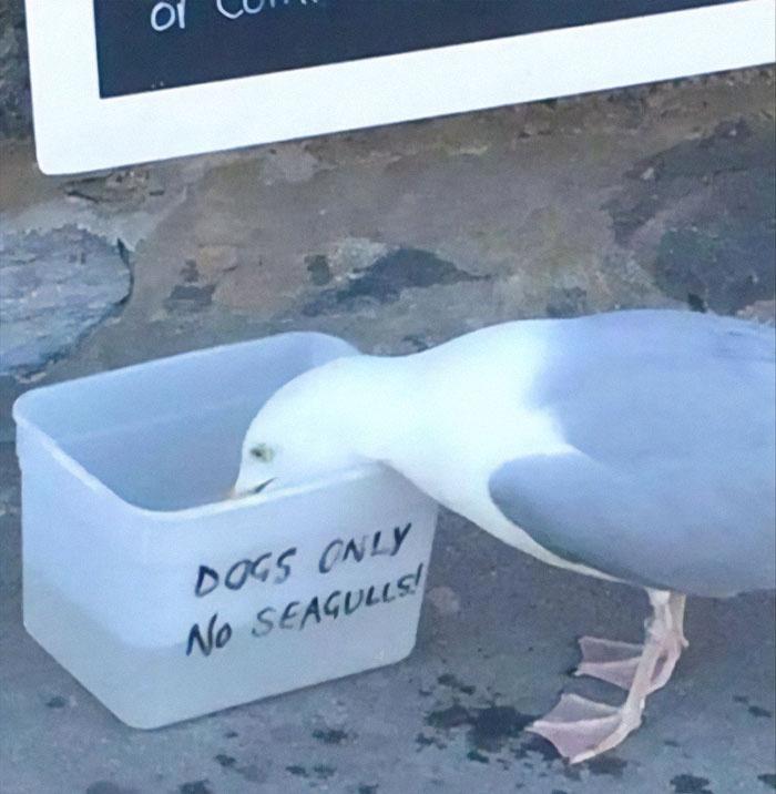 MarineShitposts's tweet photo. FUCK THE SYSTEM https://t.co/NKxSV0ae8k