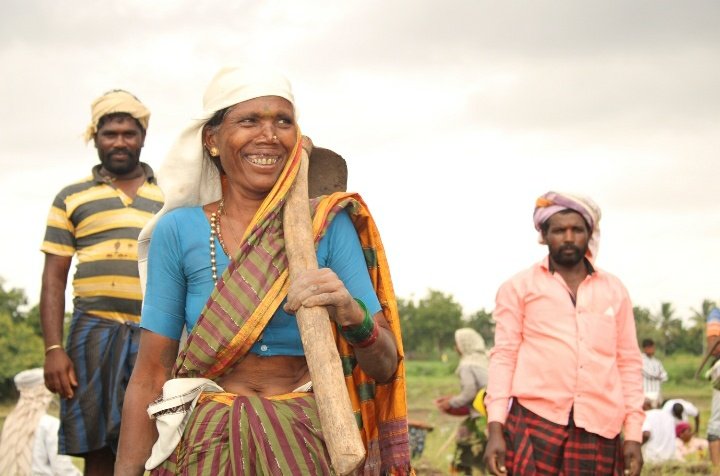 ಇಂದು ವಿಜಯಪುರ ಜಿಲ್ಲೆಯ ಕೊಲ್ಹಾರ ತಾಲೂಕಿನ ಅರಷಣಗಿ ಗ್ರಾಮ ಪಂಚಾಯತಿಯ ವ್ಯಾಪ್ತಿಯ ಕವಲಗಿ ಗ್ರಾಮದಲ್ಲಿ ಕೆರೆ ಹೂಳೆತ್ತುವ ಕಾಮಗಾರಿಯಲ್ಲಿ* ಮಹಿಳೆಯರು,ವಿಶೇಷ ಚೇತನರು ಹಿರಿಯ ನಾಗರಿಕರು,ಪುರುಷ ನಾಗರಿಕರು *ಒಟ್ಟು : 100*  ಜನ ಕೂಲಿಕಾರರು  ಇಂದು ಕೆಲಸವನ್ನು ನಿರ್ವಹಿಸುತ್ತಿದ್ದಾರೆ.