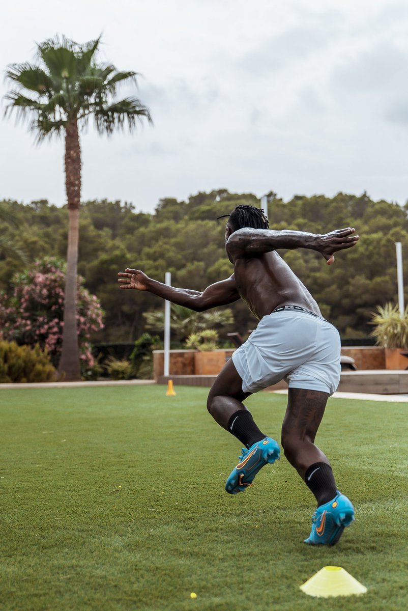 vinijr's tweet image. 