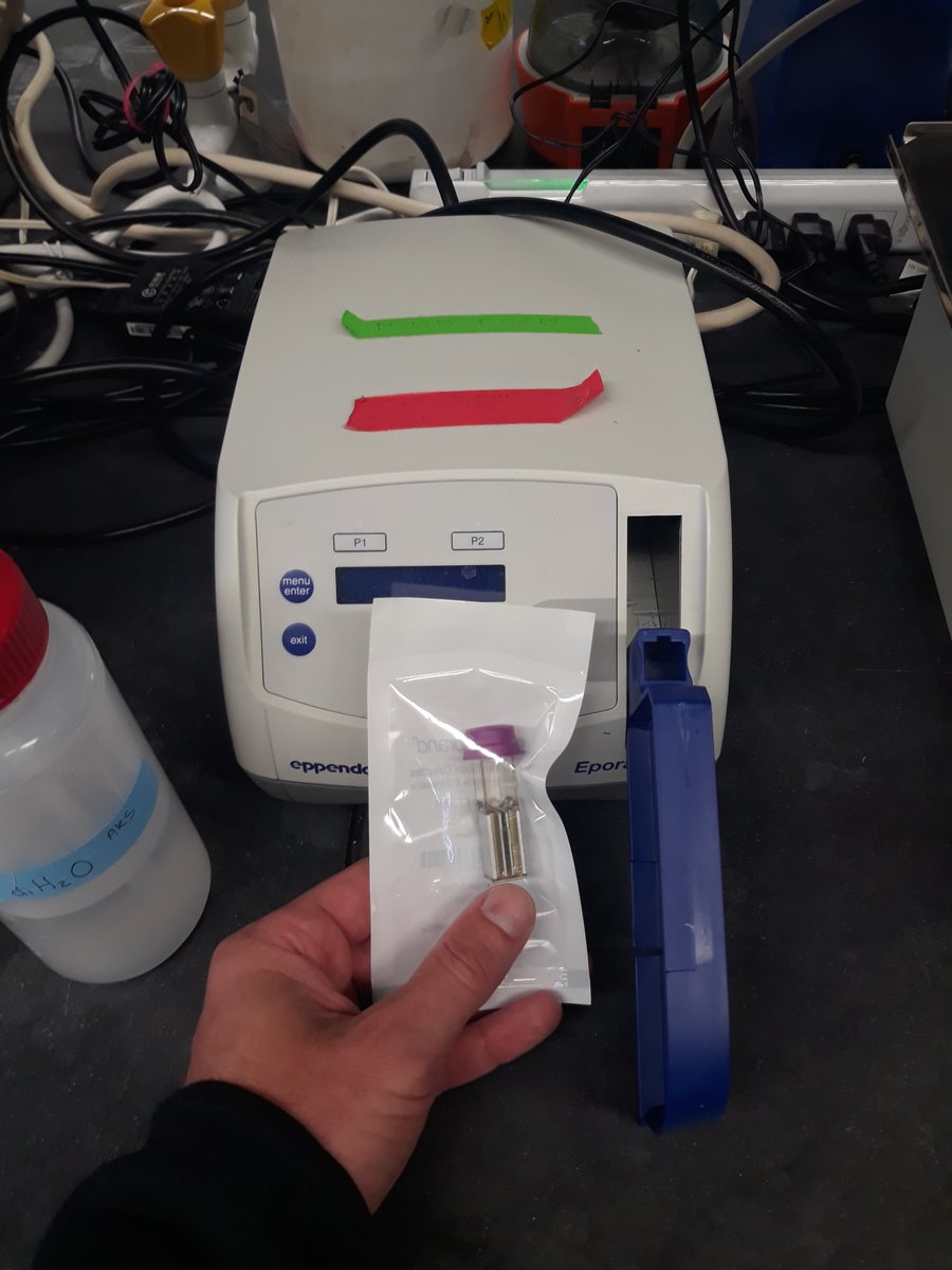 PRSecor's tweet photo. Fun story related to @surt_lab's Q:

The lids to our cuvettes do not fit into our e-porator. 

When we transform ∆Pf4 strains, they become re-infected with Pf4 virions from previous transformations that arced and exploded in the e-porator. https://t.co/g1BVixbNn8
