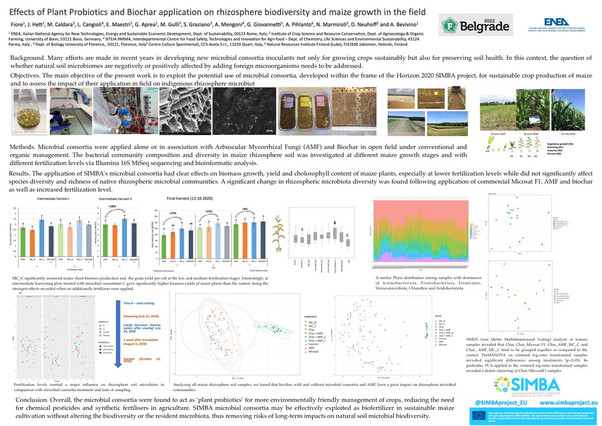 SIMBAproject_EU's tweet photo. Thank you to @AnnamariaBevivi from @ENEAOfficial for presenting her work on the impacts of plant probiotics on rhizosphere biodiversity and maize growth at the #FEMS2022 in Belgrade 🦠🔬🌽
Here's a snapshot of her poster👇 https://t.co/v9NzB97jCJ