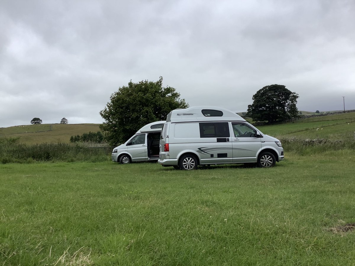 Sonia's Smile tweet media