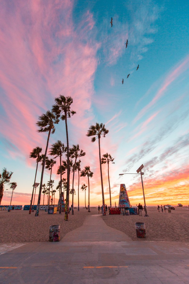 deb0's tweet image. GM