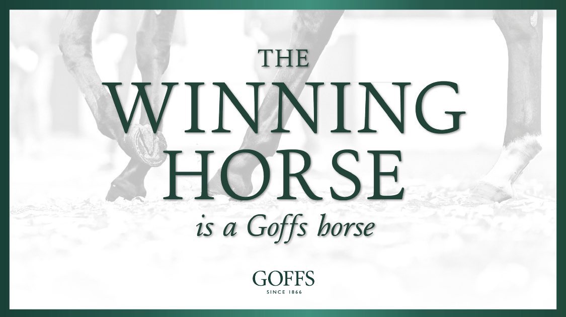 🥊 DON’T FIGHT IT 🥊 gets off the mark <a href="/CatterickRaces/">Catterick Racecourse</a> for @DalgleishRacing 

2yo Kessaar filly (<a href="/HoStud/">Tally-Ho Stud</a>) was sourced by her trainer &amp; <a href="/bobbyoryan1/">bobby o’ryan</a> from <a href="/acornstud/">Jerome Hulin</a> at #GoffsAutumn 🍂 

#GoffsGrads