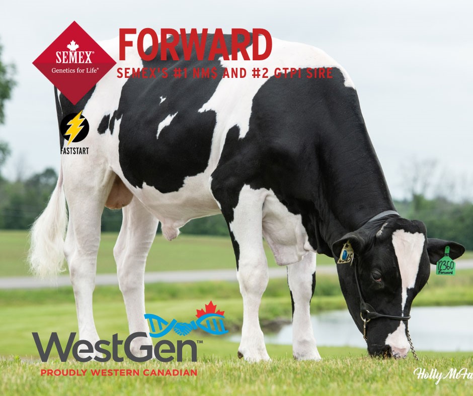WestGen (@_westgen) on Twitter photo #๐ญ ๐ก๐ $ & #๐ฎ ๐๐ง๐ฃ๐ ๐ฆ๐ถ๐ฟ๐ฒ
0200HO12360 Progenesis Forward
Brave x GP SoHot x Frazzled x EX Bombero x EX McCutchen
โก FastStart
A2A2
Semex's #1 NM$ and #2 GTPI Sire
โ
+1198 NM$
โ
+3078 GTPI
โ
+1558 PTAM, +179 CFP, +0.18% Fat, +0.06% Pro
โ
1.3% SCE, +6.9 PL, 2.74 SCS, #๐ญ ๐ก๐ $ & #๐ฎ ๐๐ง๐ฃ๐ ๐ฆ๐ถ๐ฟ๐ฒ
0200HO12360 Progenesis Forward
Brave x GP SoHot x Frazzled x EX Bombero x EX McCutchen
โก FastStart
A2A2
Semex's #1 NM$ and #2 GTPI Sire
โ
+1198 NM$
โ
+3078 GTPI
โ
+1558 PTAM, +179 CFP, +0.18% Fat, +0.06% Pro
โ
1.3% SCE, +6.9 PL, 2.74 SCS,