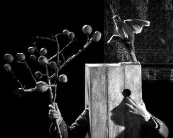 fervargasIII's tweet photo. Cortometraje de gran fuerza visual es #BoroInTheBox 2011 que sumerge la vida de #WalerianBorowczyk en un alucinante viaje. Esto nos propone #BertrandMandico Una surrealista biografía del cineasta polaco https://t.co/LOwqM6ztPZ