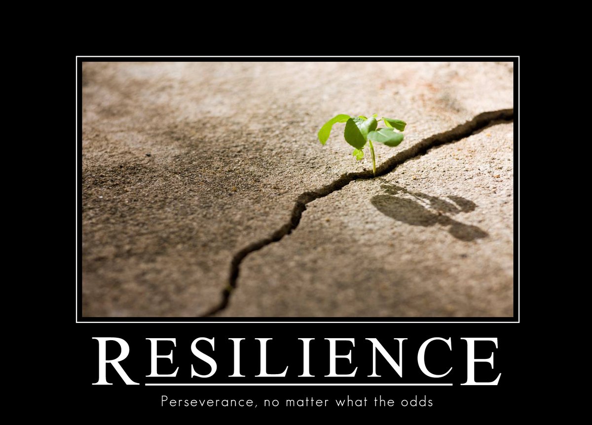 Here are some tips to build your personal resilience enablingtransitions.co.uk/2016/09/28/how… #resilience #positivity #coachingonline