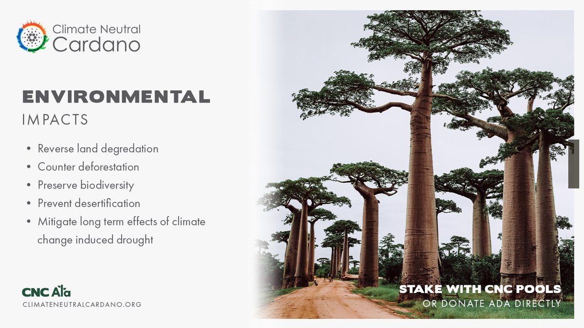 CNCardano's tweet photo. 🌳 #CNCAla is our permaculture reforestation project in #Madagascar to fight #ClimateCrisis devastation 

Our ISPO starts in July, but first we need climate conscious SPOs. Together we grow strong!

Connect with us &amp; join https://t.co/Sl3NHAs2rx

#itshappening #blockchain https://t.co/mLISoVG6fO