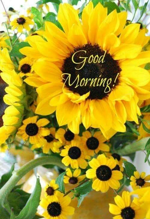 ♊   Ms.W  NO DM'S 📲 tweet media