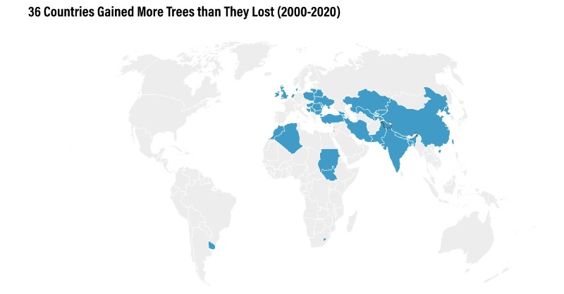 restoreforward's tweet photo. 130.9 million hectares of land gained #TreeCover in the past 2 decades. That's an area larger than Peru!

Now that we can measure tree cover gain + loss together, we have a more accurate picture of global #ForestChange 🌴🌳🌲