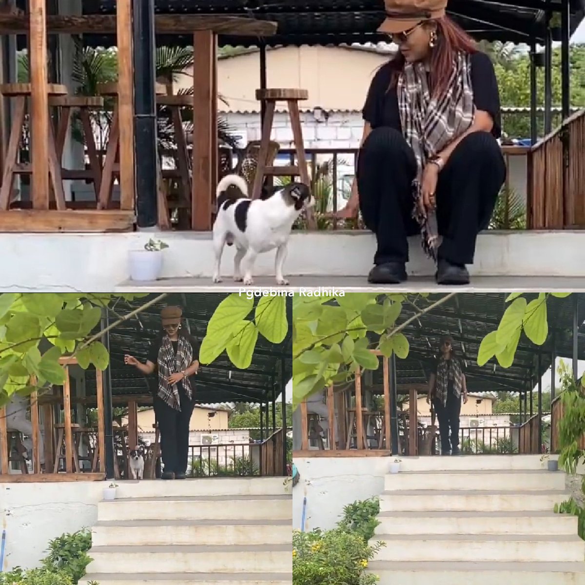 Page Debina tweet media