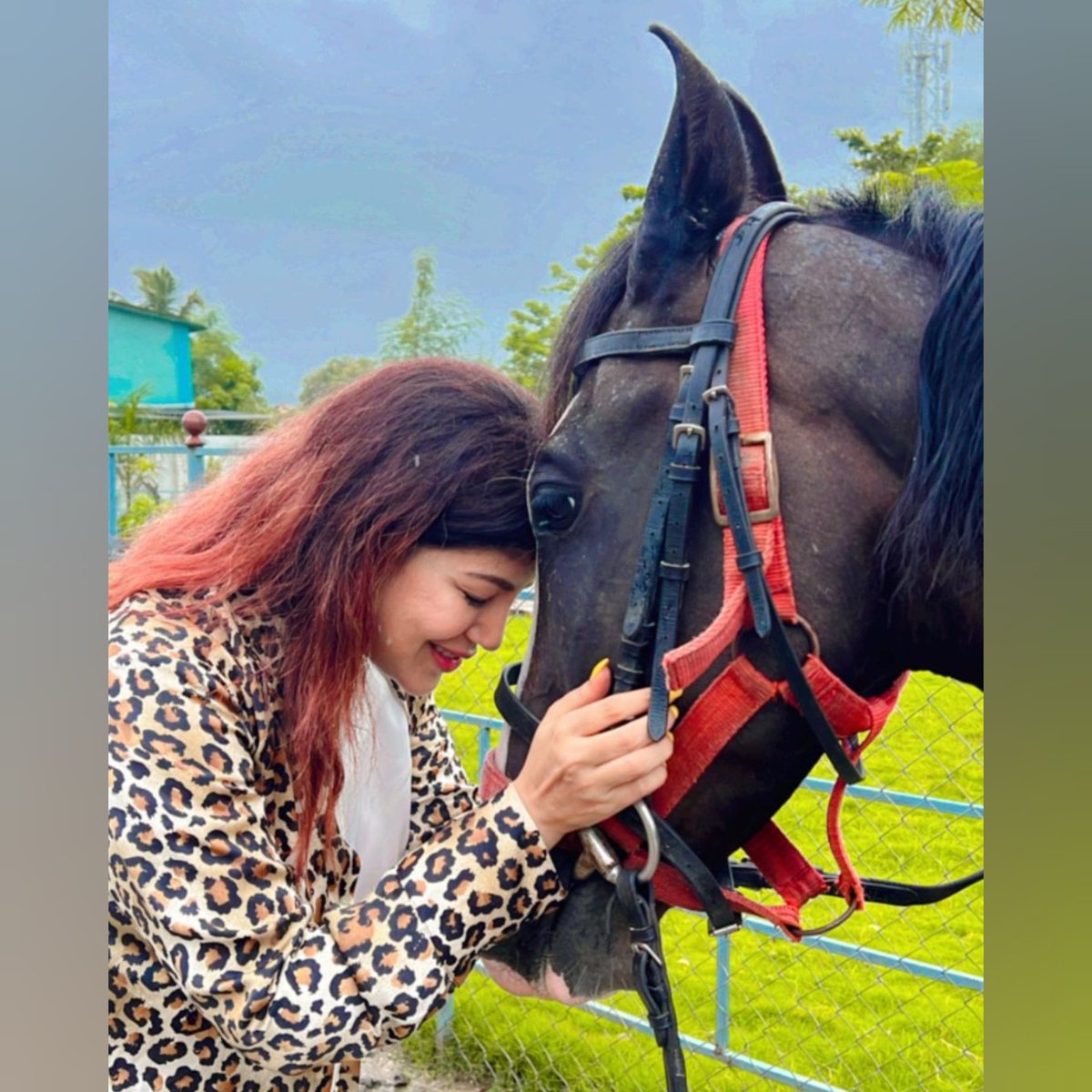 Page Debina tweet media