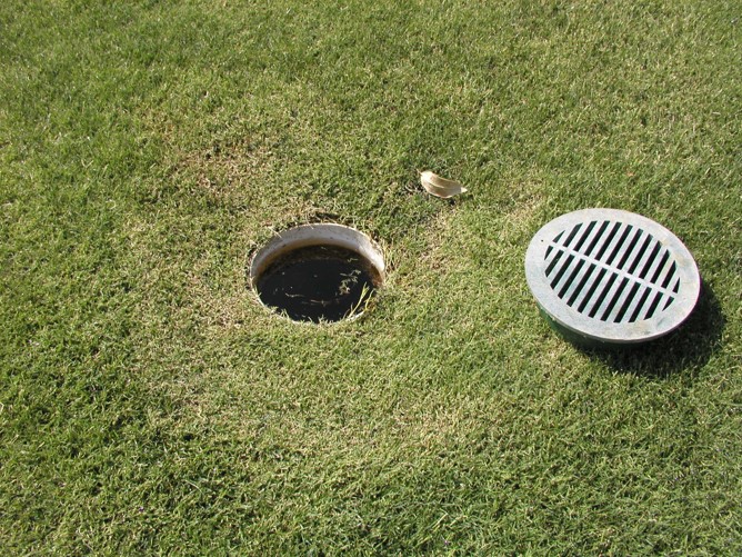 KernVector's tweet image. Not all mosquito water sources are easy to recognize. Yard drains often hold enough water to breed Aedes aegypti mosquitoes ("ankle biters").  Cut a piece of nylon window mesh large enough so it extends over the drain about 2 inches and reinstall the cover. #mosquito #anklebiters