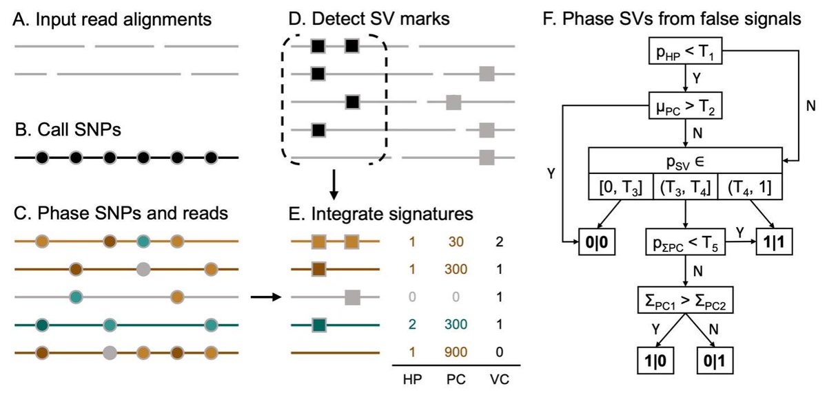 Duet: SNP-Assisted Structural Variant Calling and Phasing Using Oxford Nanopore Sequencing biorxiv.org/content/10.110…