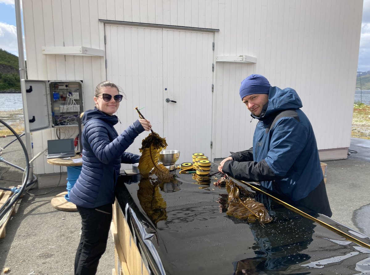 AnLebrun's tweet photo. The mesocosm experiment is launched! After setting up the system, gathering the organisms &amp; taking the initial measurements, everything is now running! Check out our article on : https://t.co/R4aO9yjA3l. @FACEITArctic @LovLabo @ChocTeamLov #EUPolarCluster #Arctic #ArcticResearch https://t.co/WIPXZcrcoK